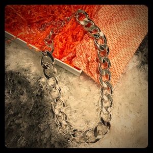 Sliver chunky necklace